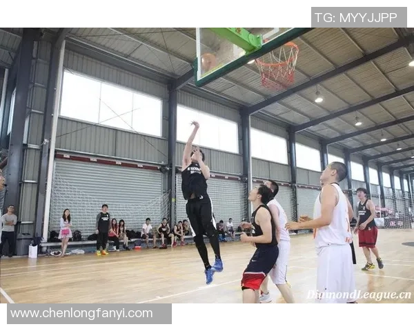 武汉排球队在钻石联赛中的个人能力表现分析与评价